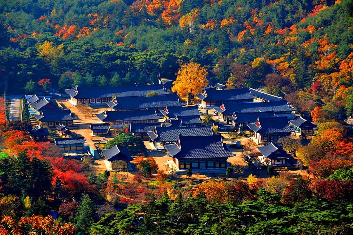 청도 운문사의 가을 