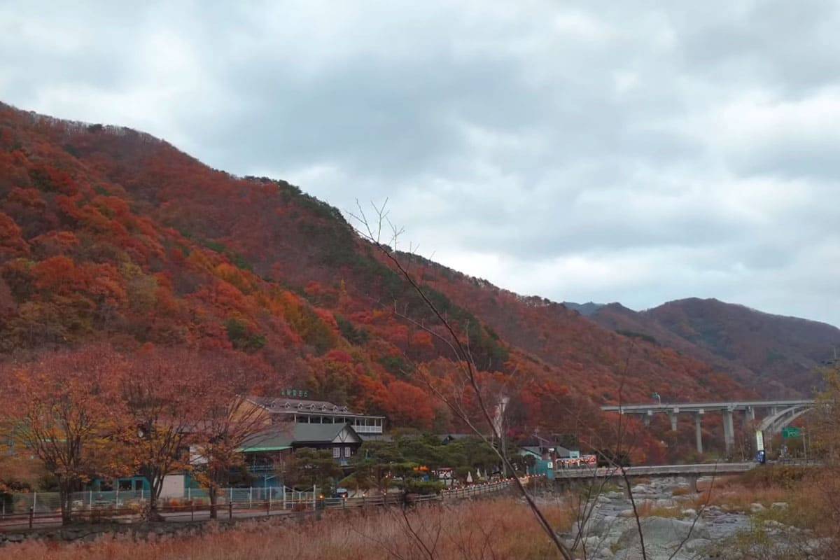 배내골에서 보는 단풍 배내골에서 보는 단풍