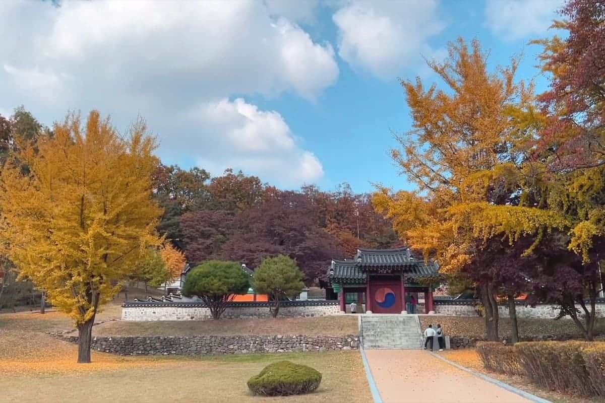 자운서원 단풍 자운서원 단풍