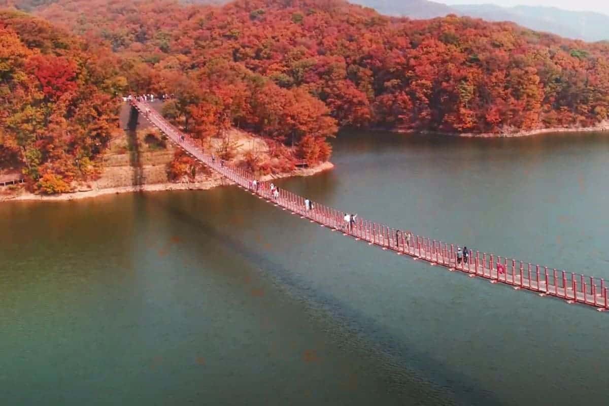 마장호수 출렁다리 추경 마장호수 출렁다리 추경