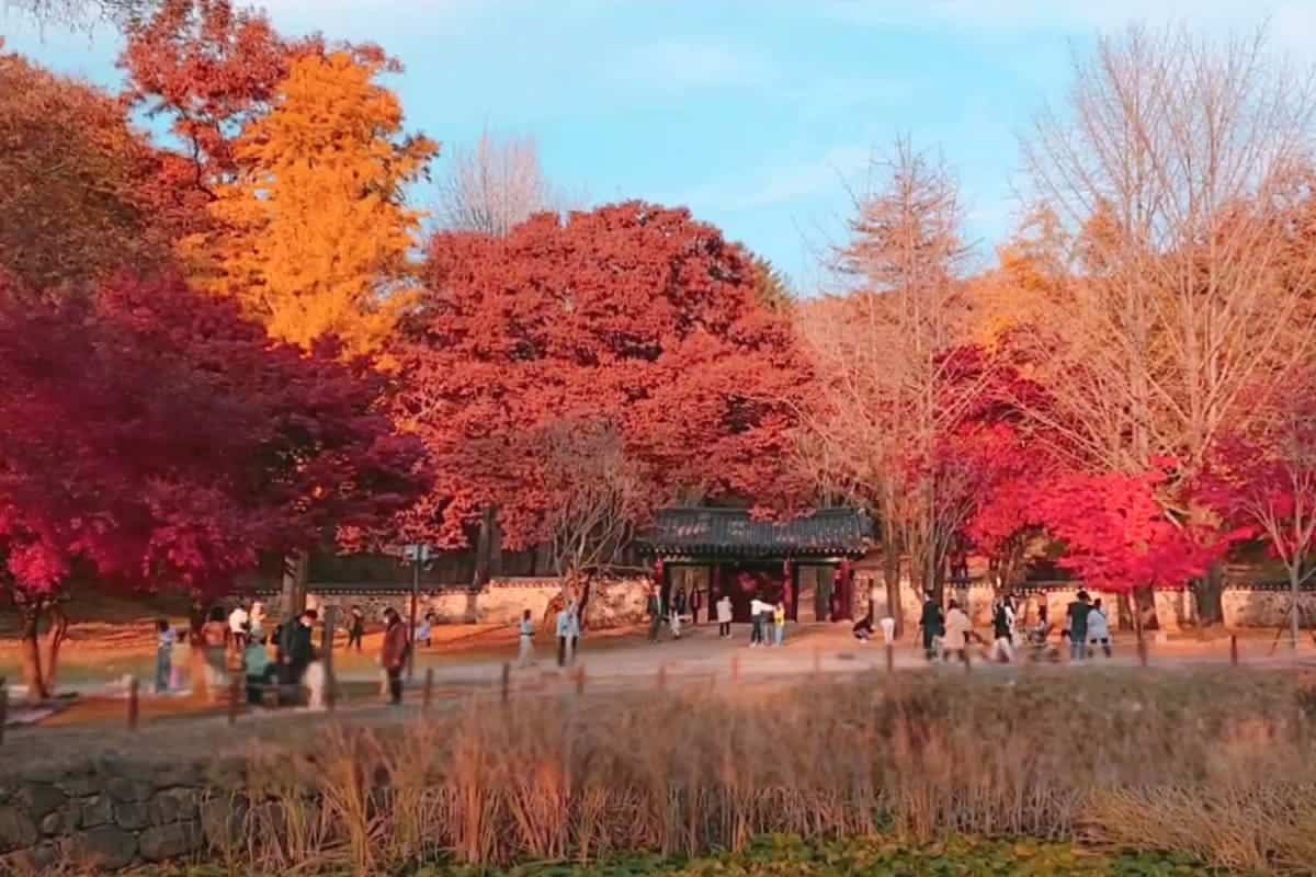 자운서원 추경 자운서원 추경