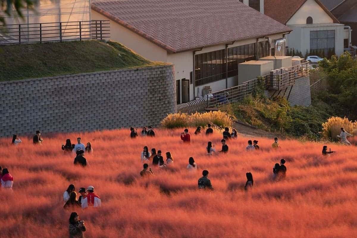 핀스커피의 야외 정원 핀스커피의 야외 정원