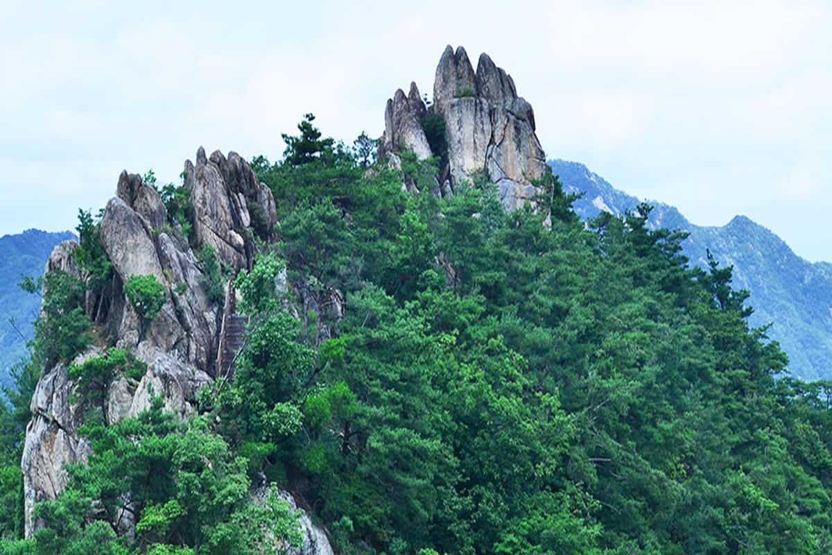 동악산 / 사진=곡성문화관광 동악산 / 사진=곡성문화관광