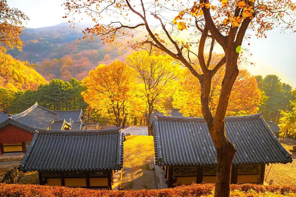 소백산 비로사 / 한국관광공사 앙지뉴필름 소백산 비로사 / 한국관광공사 앙지뉴필름