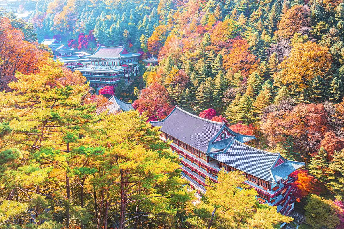 소백산 국립공원 / 한국관광공사 앙지뉴필름 소백산 국립공원 / 한국관광공사 앙지뉴필름