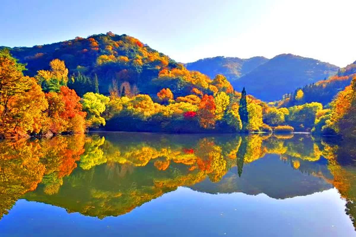 세량제 단풍 호수 세량제 단풍 호수