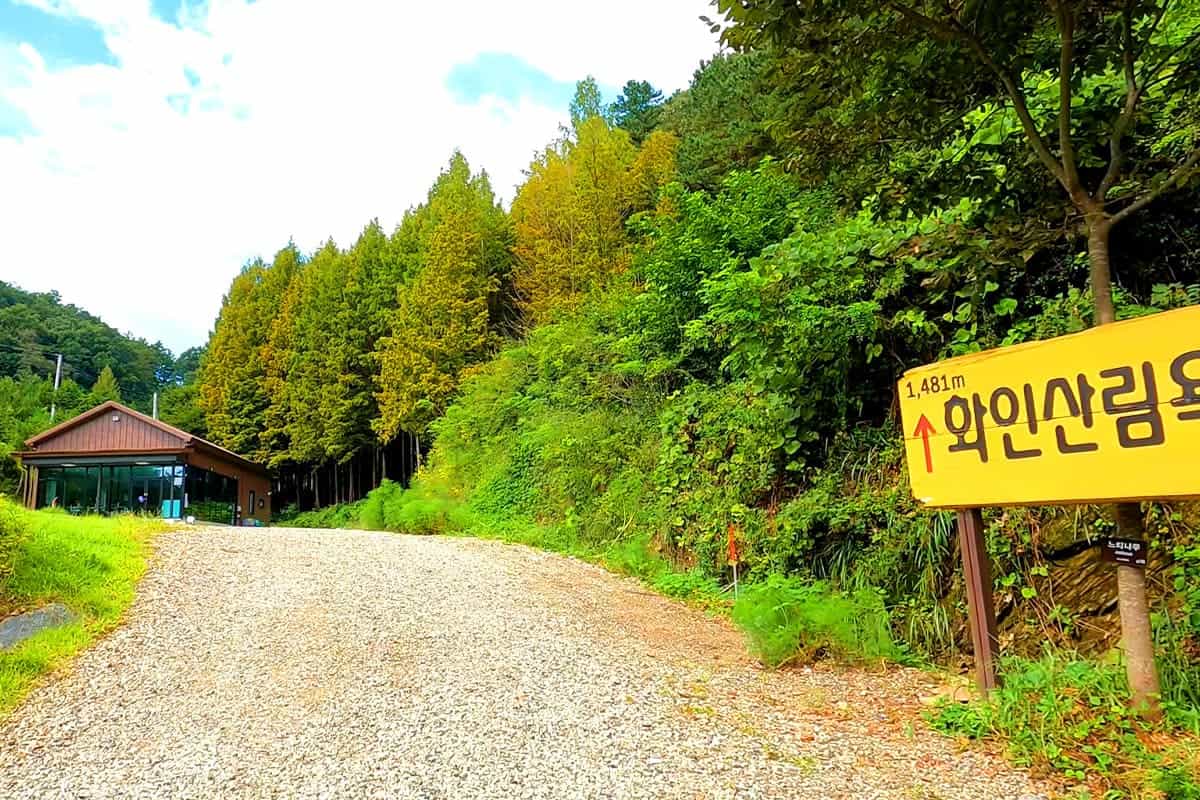 화인산림욕장 가을 풍경 화인산림욕장 가을 풍경