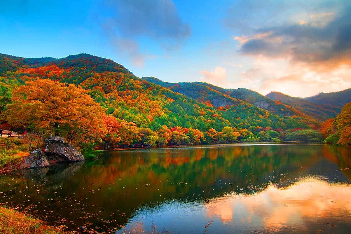 주왕산 국립공원 주산지 주왕산 국립공원 주산지