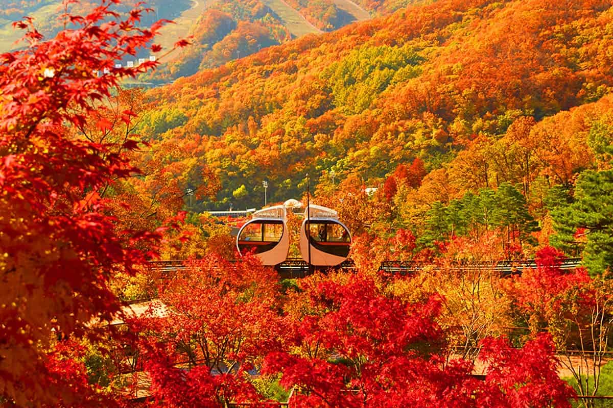 화담숲 가을 모노레일 화담숲 가을 모노레일