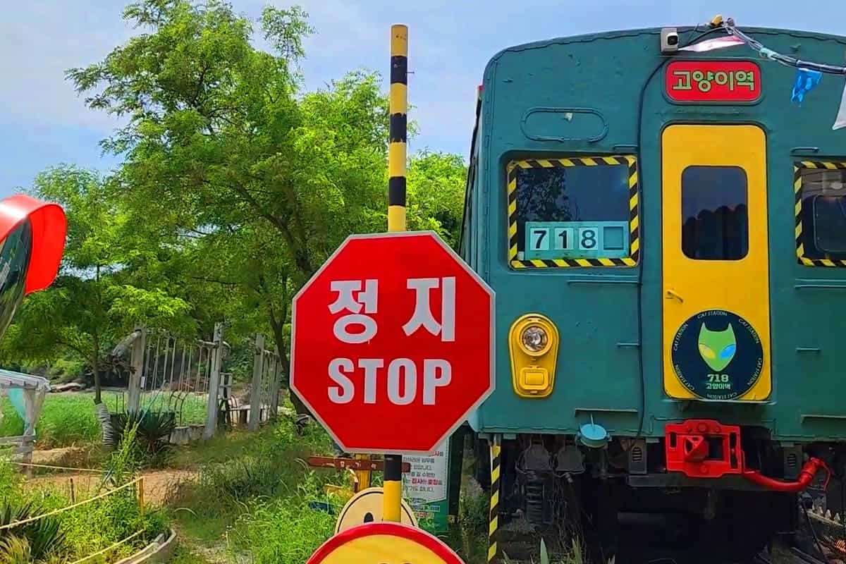 고양이역 철도 테마 인테리어 고양이역 철도 테마 인테리어