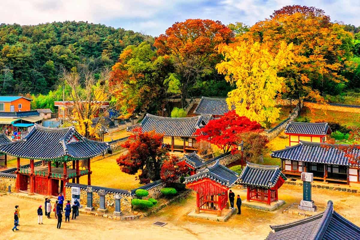무성서원 화려한 가을 단풍 