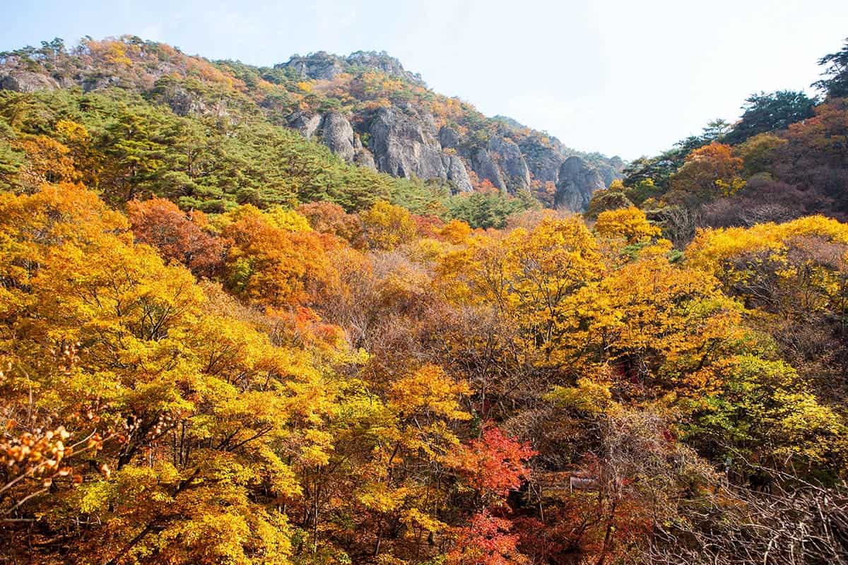 가을철 주왕산 절경