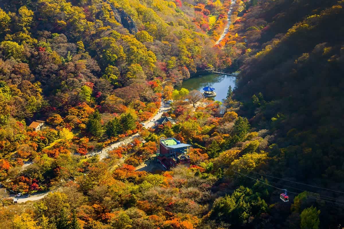 단풍이 아름답기로 소문난 내장산