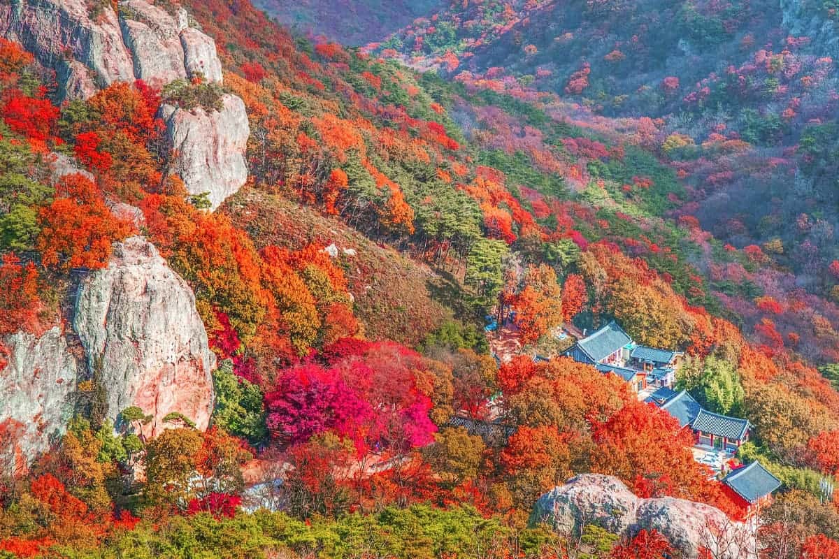 아름다운 가을 절경을 자랑하는?선운산도립공원