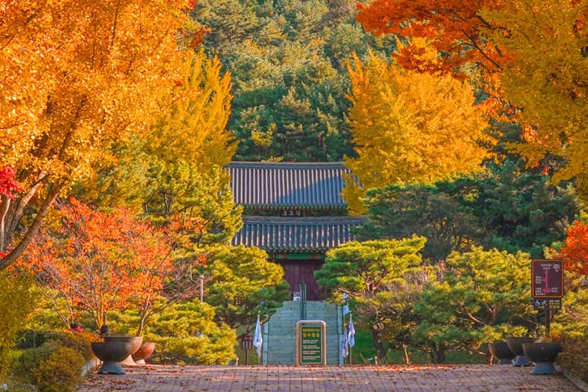 천안 가을 단풍 명소 천안 가을 단풍 명소