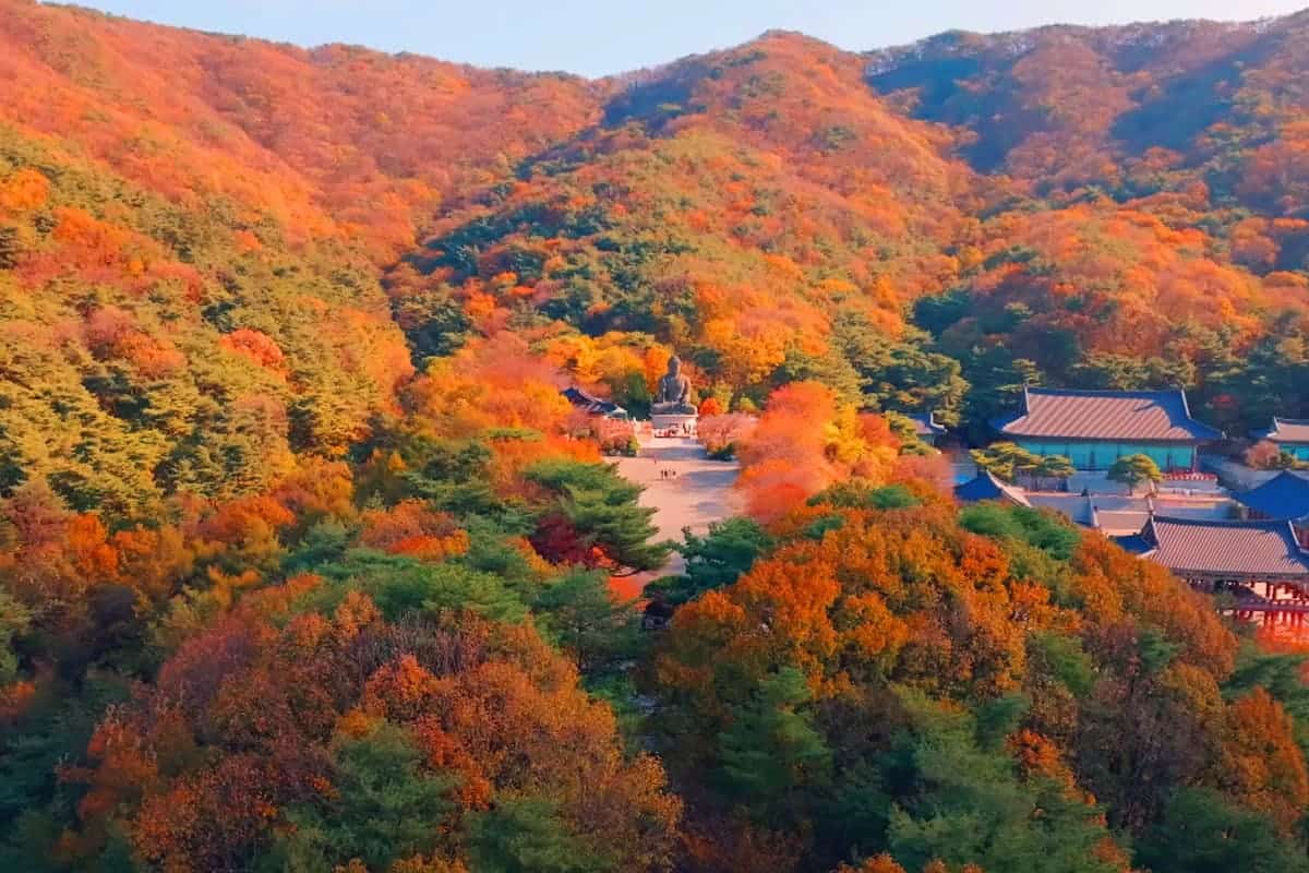각원사 가을 전경 / 사진=유튜브 천안시 각원사 가을 전경 / 사진=유튜브 천안시