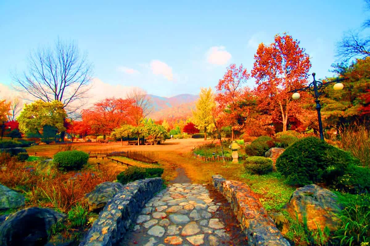 서운동산 가을 풍경 서운동산 가을 풍경