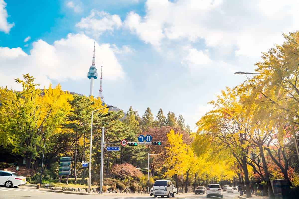 가을?N서울타워 모습 가을?N서울타워 모습