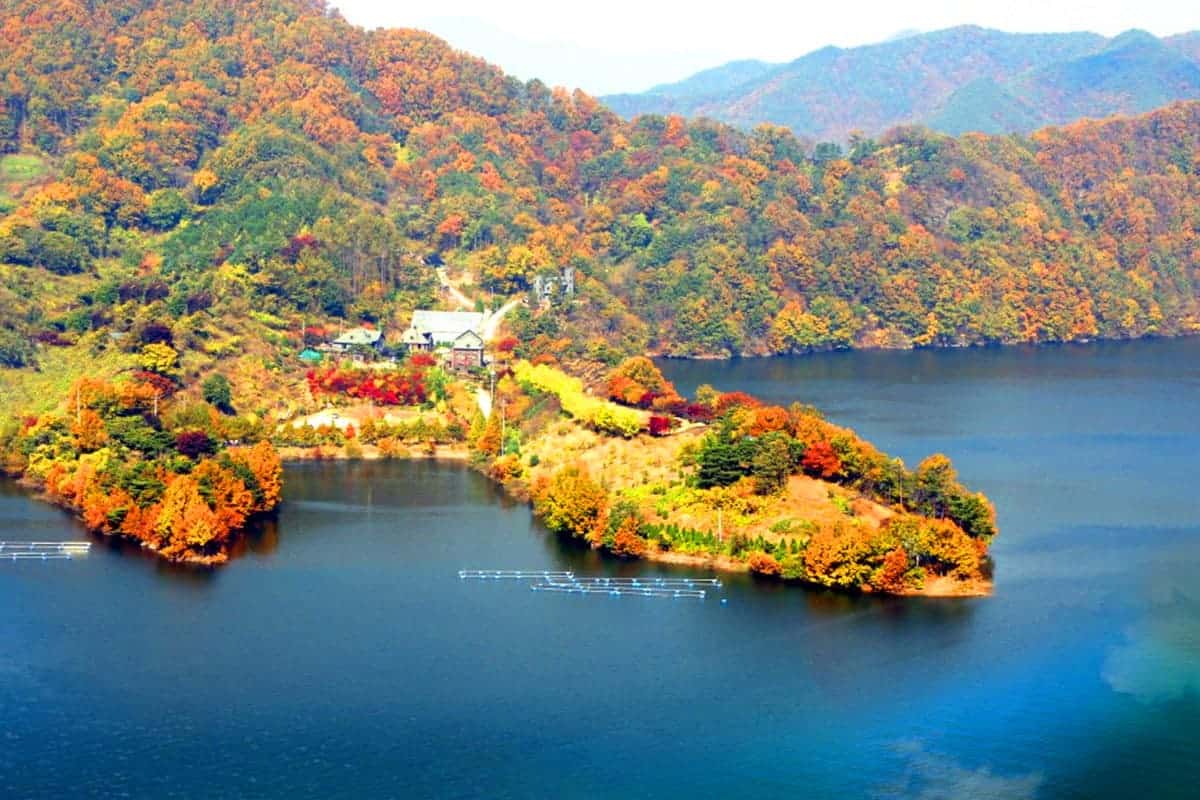 수생식물학습원 단풍뷰 전경 수생식물학습원 단풍뷰 전경