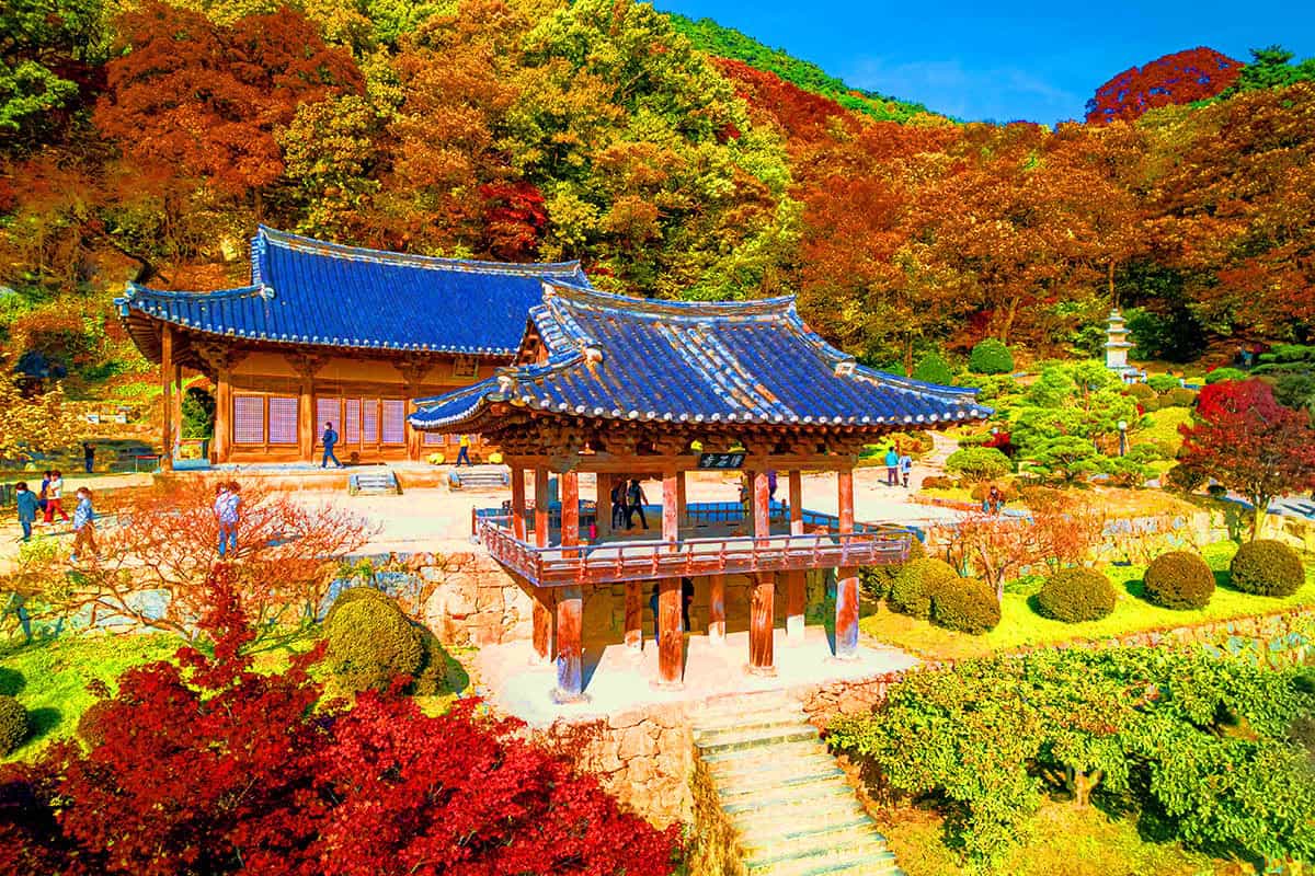 부석사 화려한 가을 부석사 화려한 가을