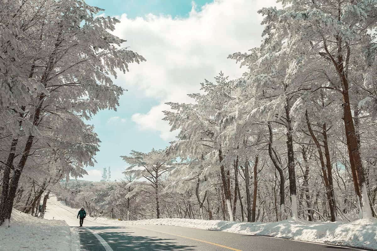 1,100도로 겨울 풍경 1,100도로 겨울 풍경