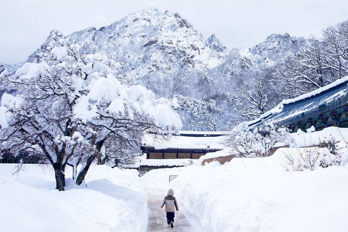 설악산 사찰 설악산 사찰