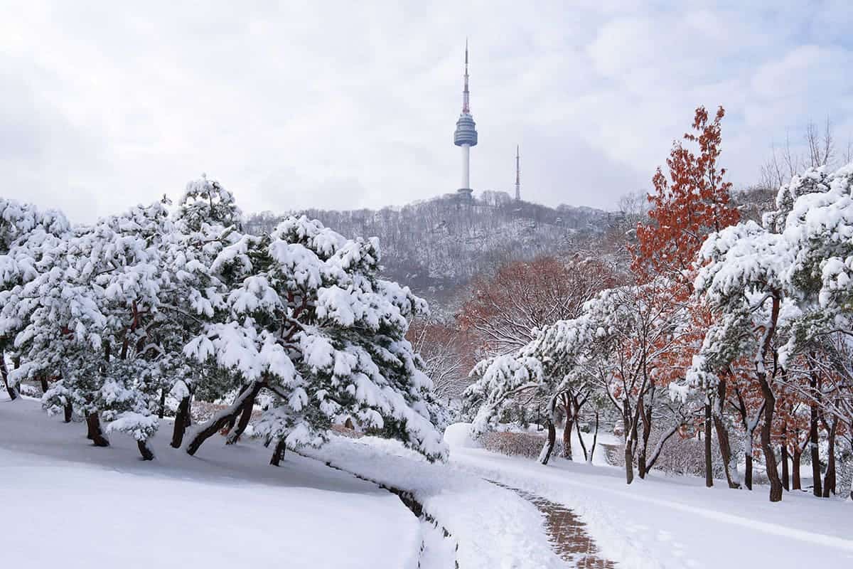 남산 N서울타워 겨울 풍경 남산 N서울타워 겨울 풍경