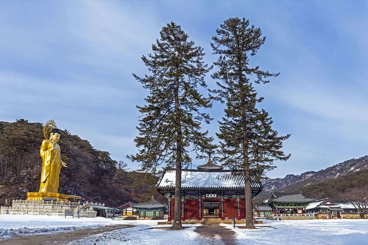 보은 속리산 법주사 겨울 전경 보은 속리산 법주사 겨울 전경
