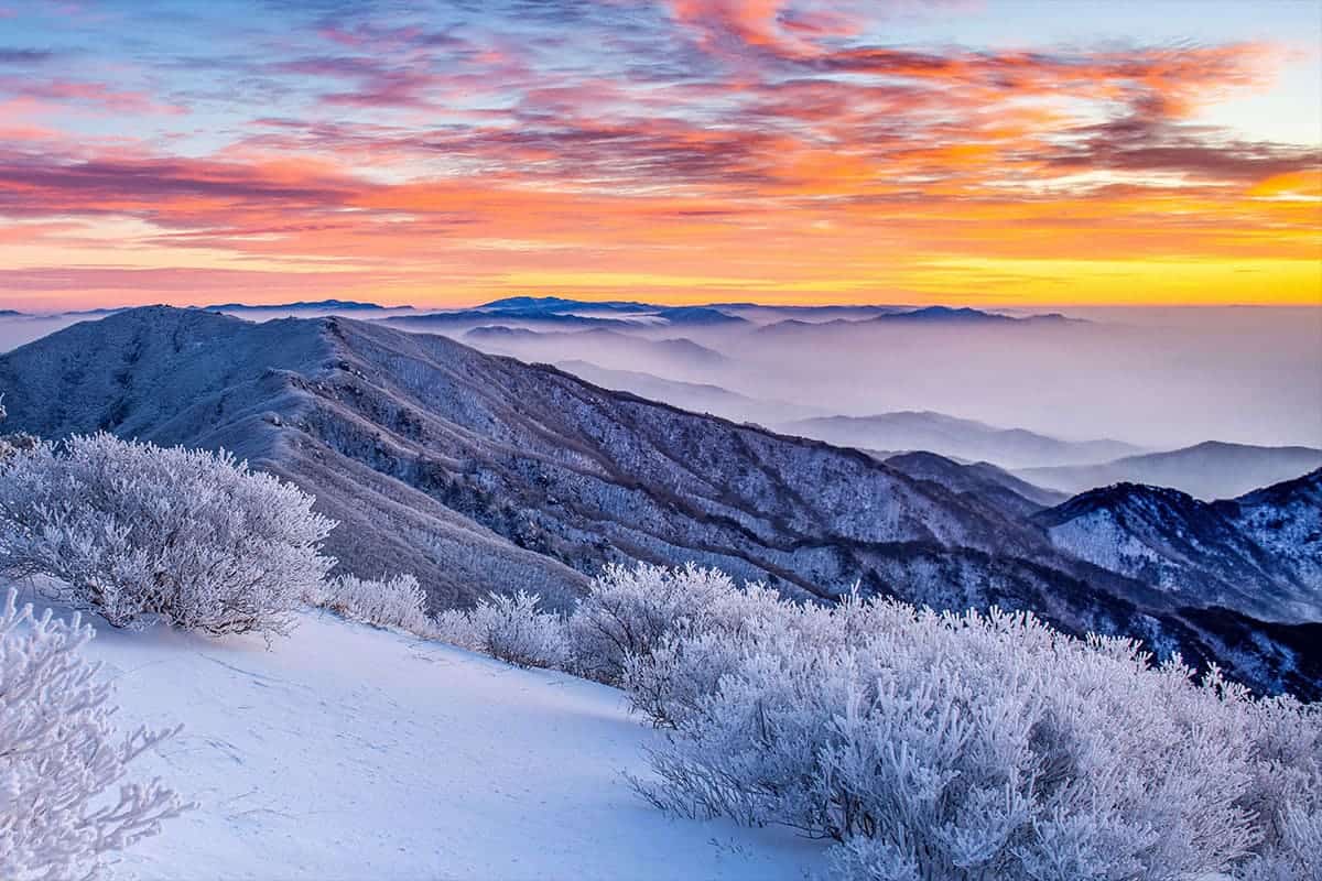 단양 소백산의 설경 단양 소백산의 설경
