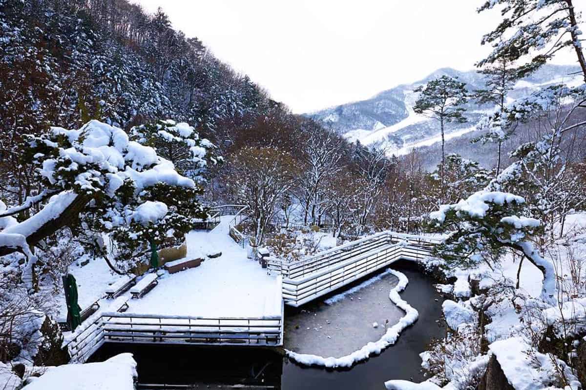 화담숲 설경 
