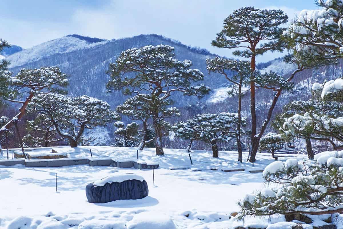 화담숲 겨울 정원 