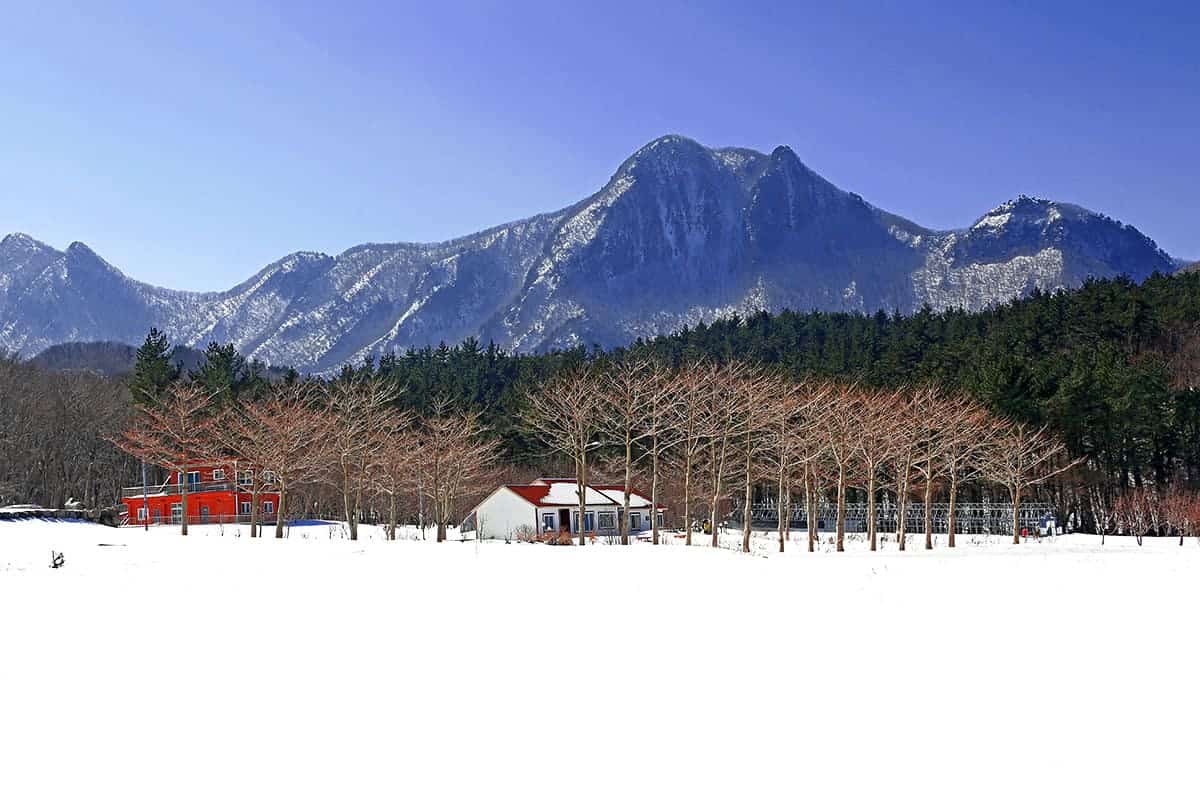 나리분지 성인봉 나리분지 성인봉