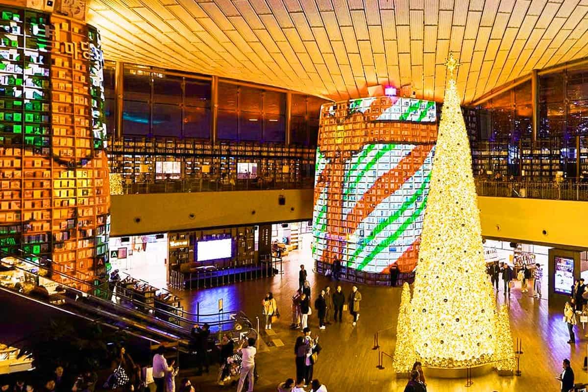 코엑스 별마당 도서관 라이팅쇼 코엑스 별마당 도서관 라이팅쇼