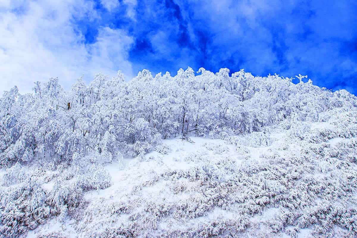 설악산 눈부신 설경 설악산 눈부신 설경