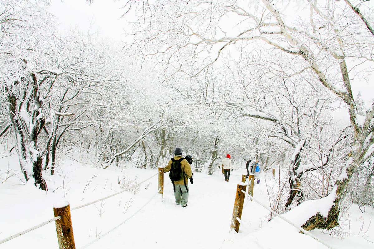 태백산 겨울 트래킹 태백산 겨울 트래킹