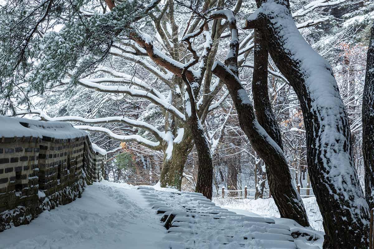 남한산성의 겨울 남한산성의 겨울