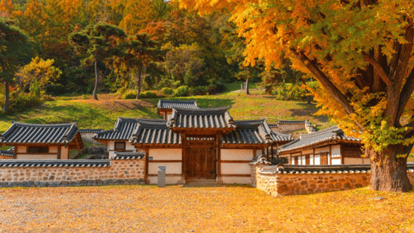 풍림정사 전경 / 사진=온라인커뮤니티 풍림정사 전경 / 사진=온라인커뮤니티