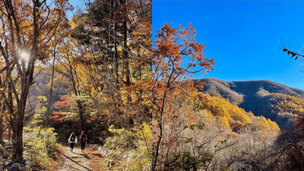 지리산 국립공원 / 사진=트립닷컴