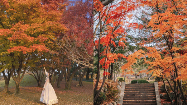 경주 국립공원 / 사진=트립닷컴?