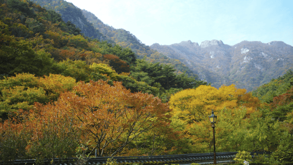 계룡산 국립공원 / 사진=게티이미지뱅크?