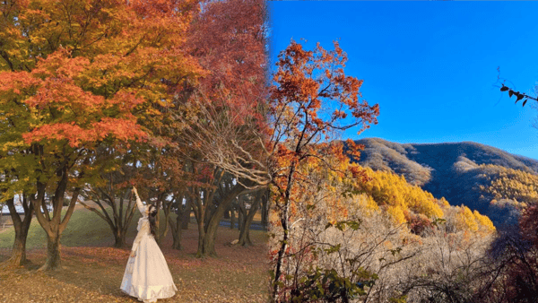가을에 방문하기 좋은 국립공원 BEST 5 / 사진=트립닷컴?