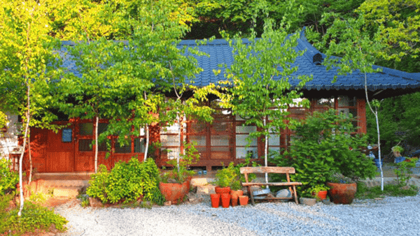 삼척 이안애 외관 / 사진=온라인커뮤니티 삼척 이안애 외관 / 사진=온라인커뮤니티