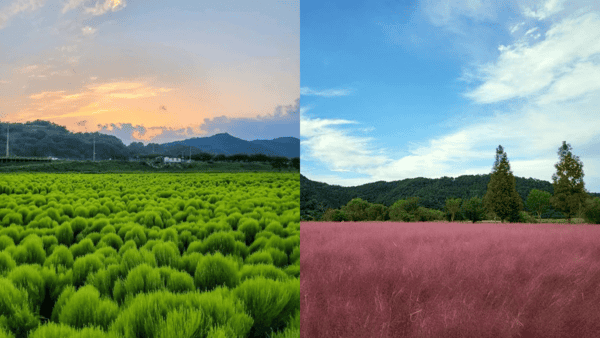 의령 친수공원 / 사진=온라인커뮤니티? 의령 친수공원 / 사진=온라인커뮤니티?