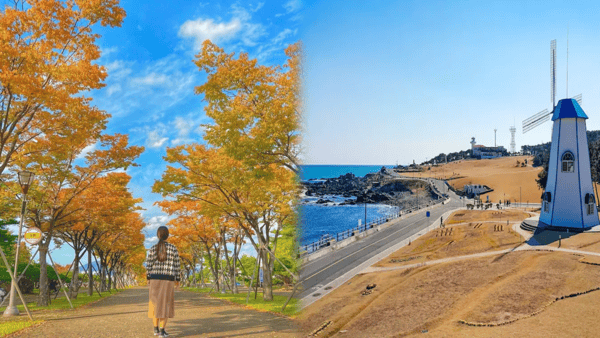 울산 여행지 / 사진=온라인커뮤니티? 울산 여행지 / 사진=온라인커뮤니티?