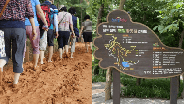 물무산 황톳길 / 사진=온라인커뮤니티? 물무산 황톳길 / 사진=온라인커뮤니티?