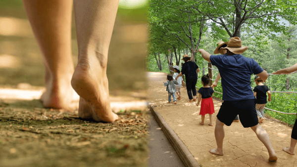 황톳길 맨발걷기 / 사진=온라인커뮤니티? 황톳길 맨발걷기 / 사진=온라인커뮤니티?