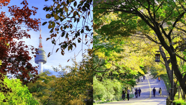 남산 둘레길 / 사진=트립닷컴? 남산 둘레길 / 사진=트립닷컴?