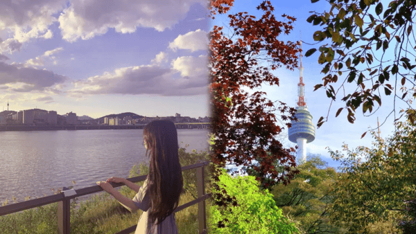 서울에서 단풍을 보기 좋은 명소 / 사진=트립닷컴? 서울에서 단풍을 보기 좋은 명소 / 사진=트립닷컴?