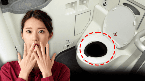 비행기 기내 화장실 처리 방법 / 사진=케티이미지뱅크 비행기 기내 화장실 처리 방법 / 사진=케티이미지뱅크