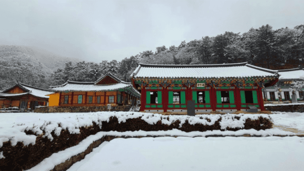 수타사 겨울 전경 / 사진=온라인커뮤니티 수타사 겨울 전경 / 사진=온라인커뮤니티